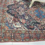 732 5558 ORIENTAL RUG